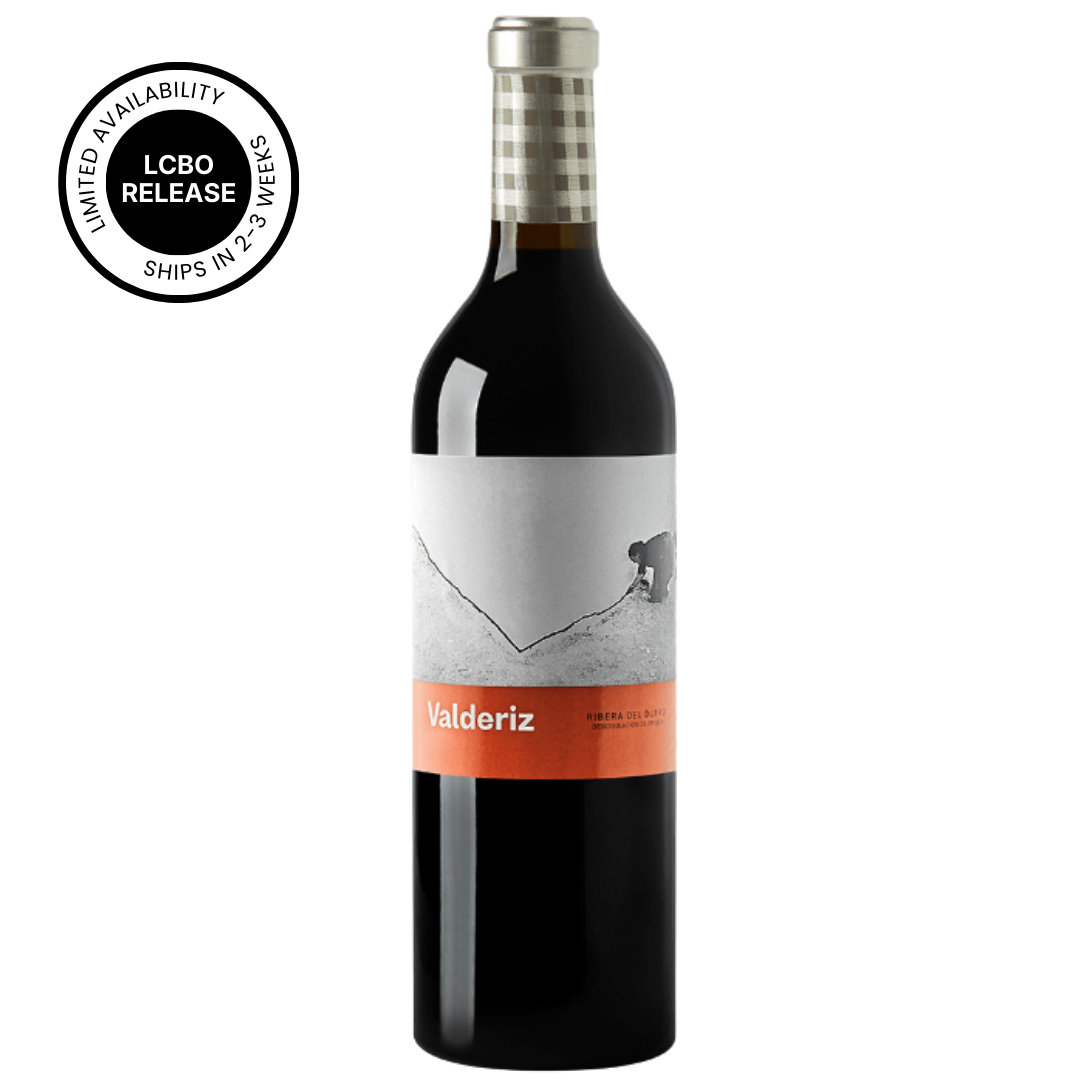 Bodegas Y Vinedos Valderiz 2020 – Nicholas Pearce Wines Inc